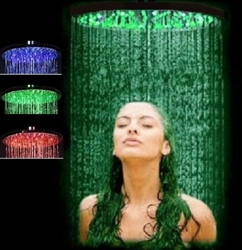 Ecoheads Shower Head